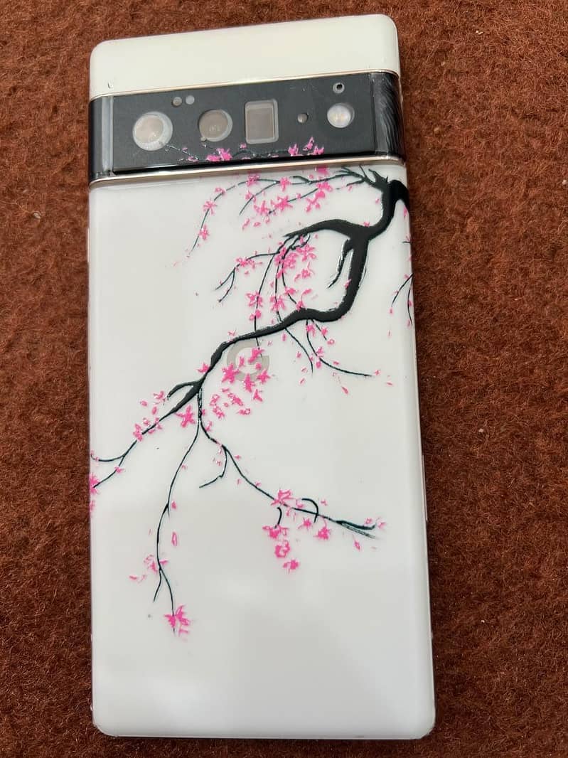 Google Pixel 6 Pro 2