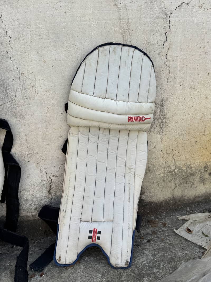 Cricket kit 1
