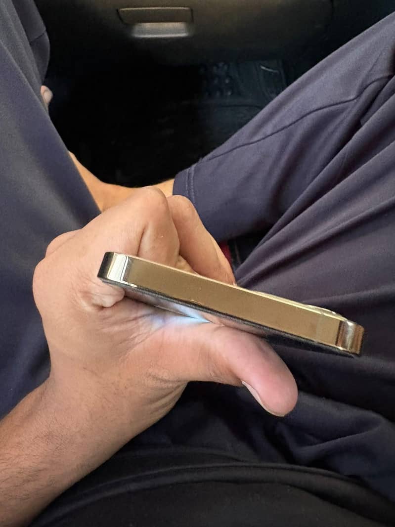 Apple iPhone 12 0