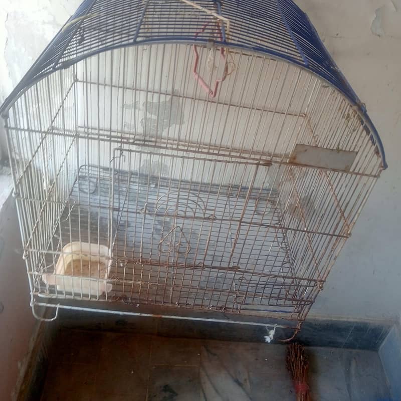 cages 0
