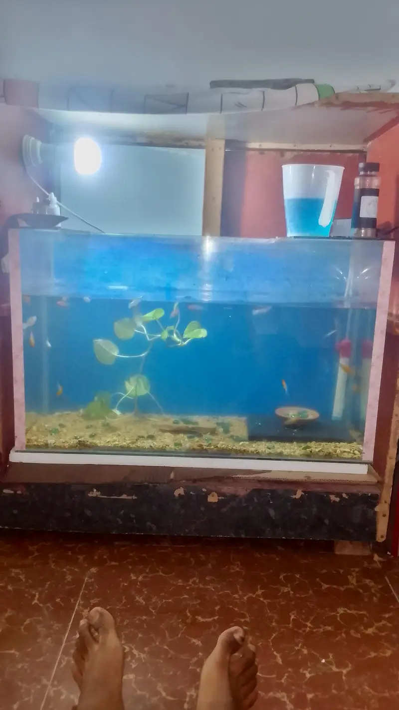 aquarium — photo 2