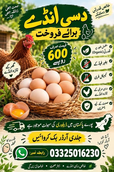 Desi Eggs