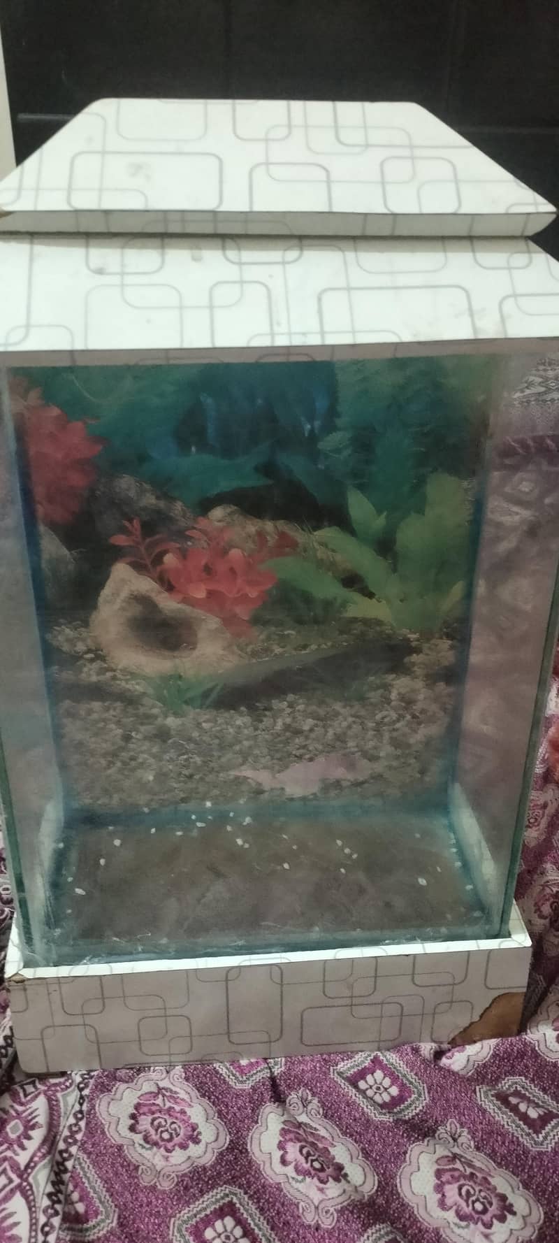 1 year 1