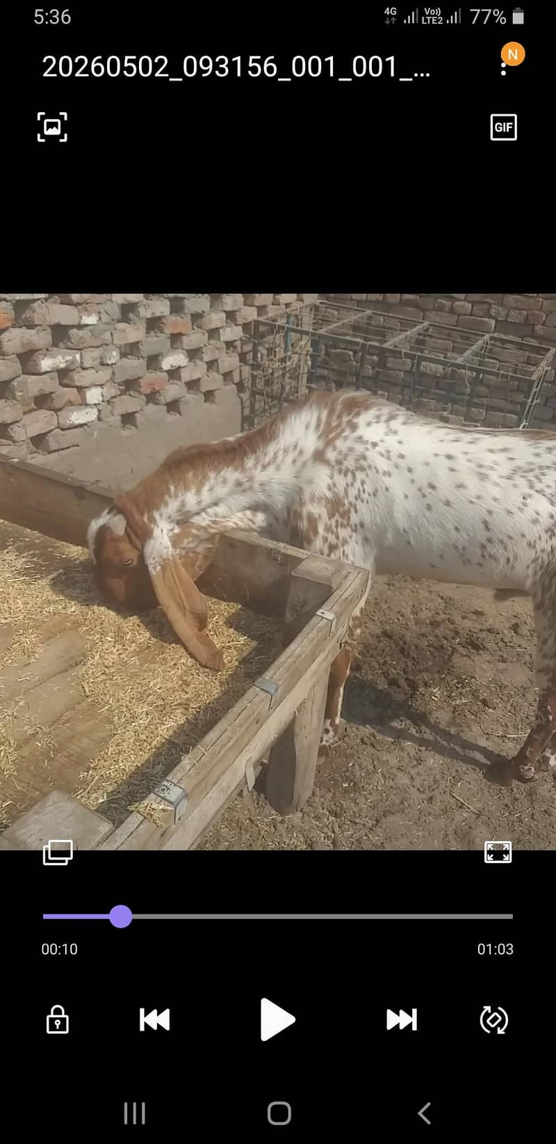 makhe cheenaa baredar 0