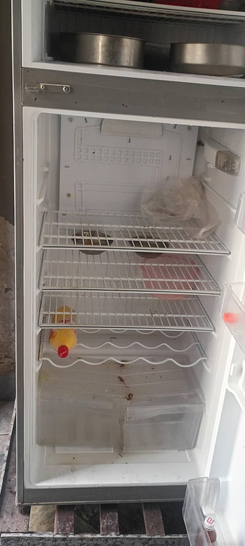 pel refrigerator 1