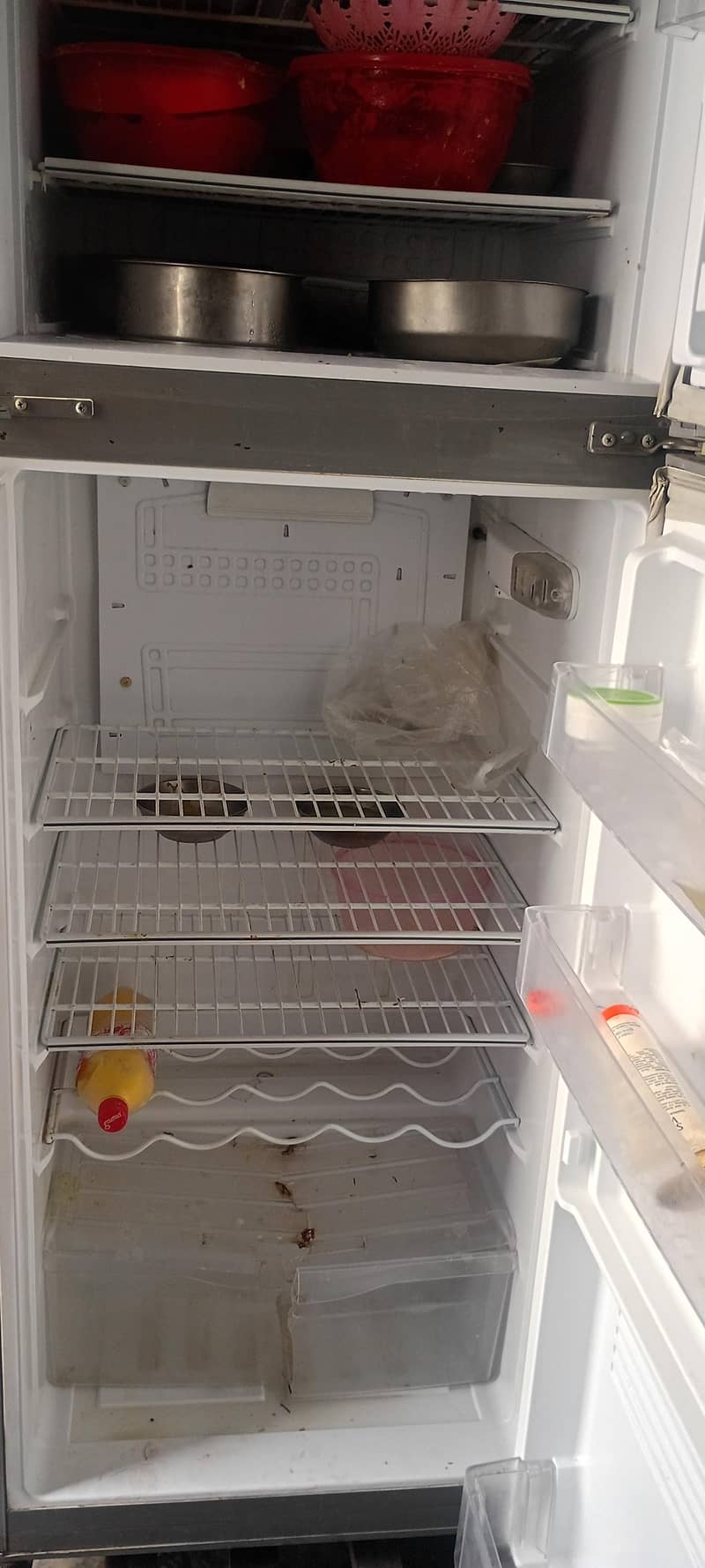 pel refrigerator 2