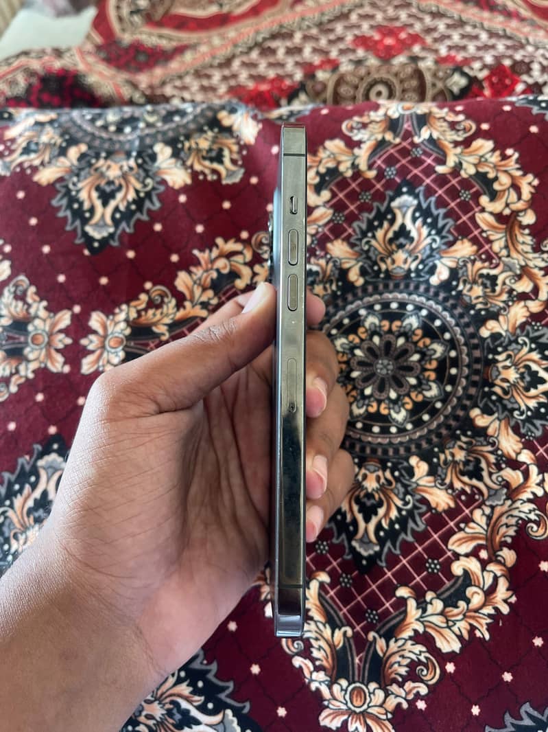 Apple iPhone 12 Pro Max 1