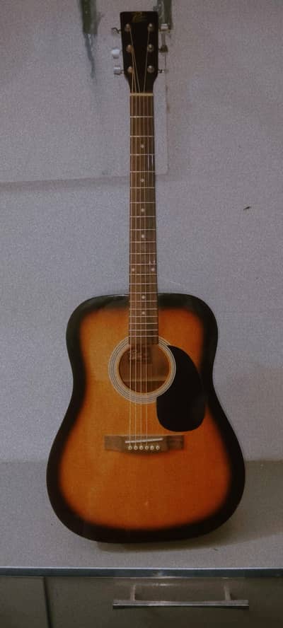 ROGWR NEW GUITAR FOR SALE