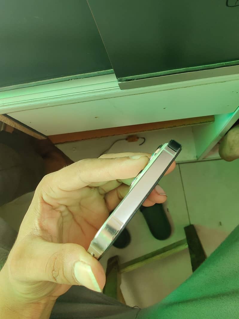 Apple iPhone 13 Pro Max 5