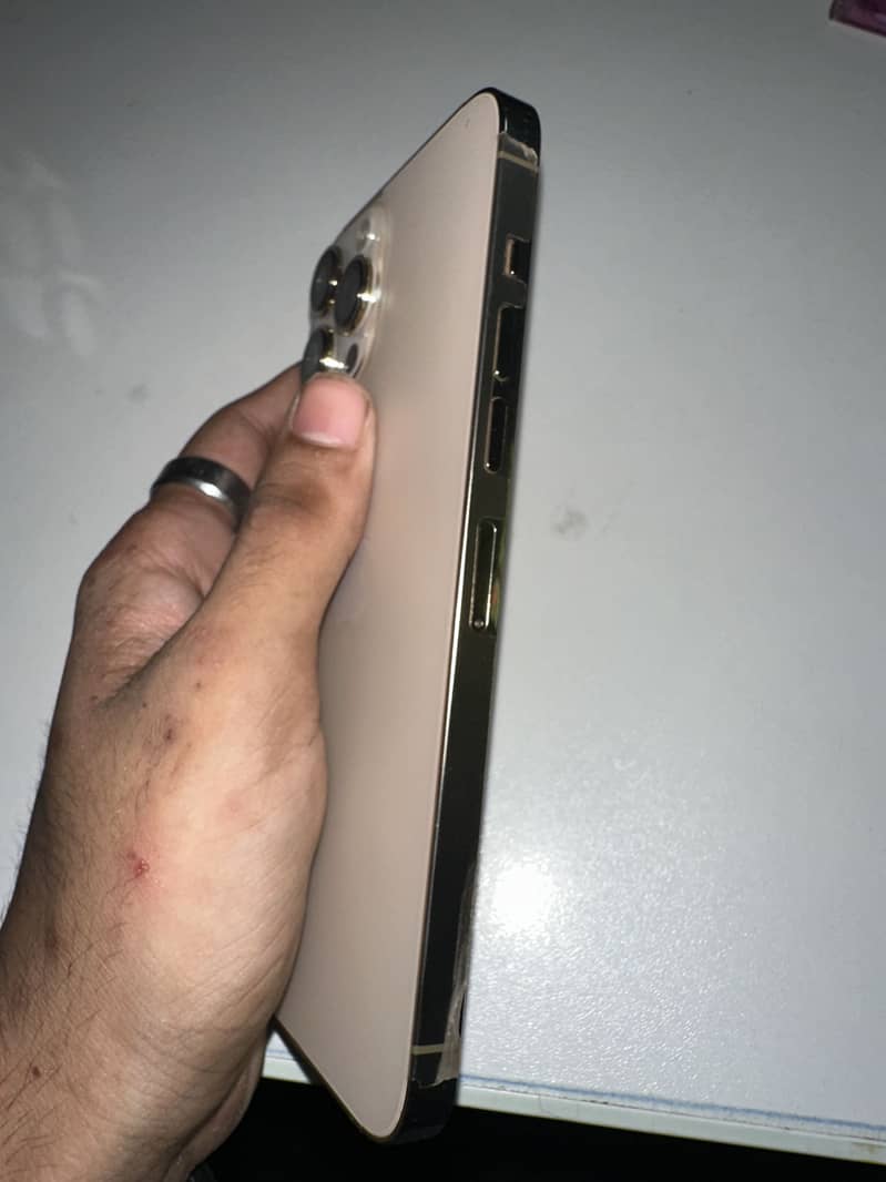 Apple iPhone 13 Pro Max 1