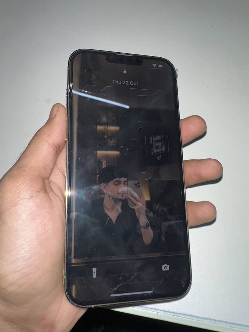 Apple iPhone 13 Pro Max 2