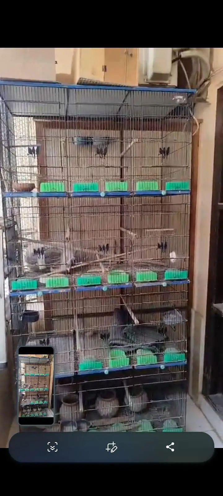 Birds Cage 12 Portions. — photo 7