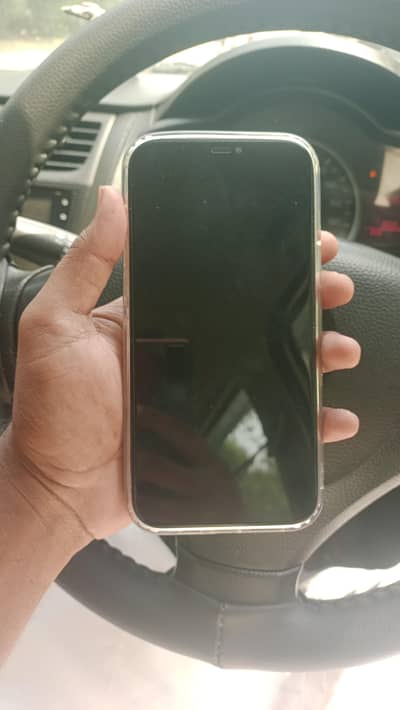 Apple iPhone 12 pro max