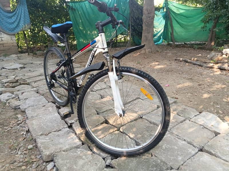 Imported Cycle 1