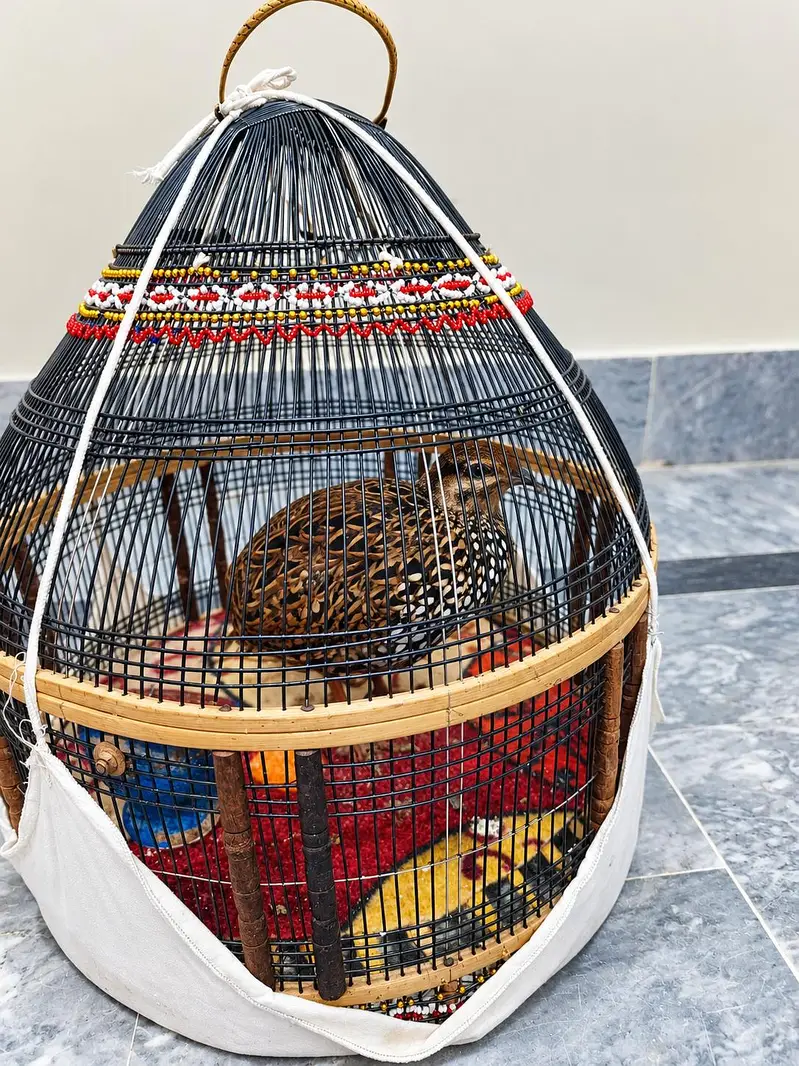 kala patha for sale — photo 2