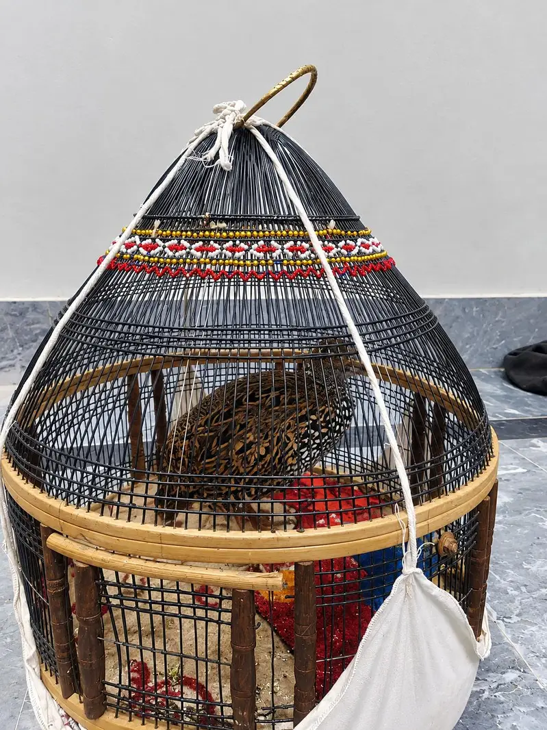 kala patha for sale — photo 3