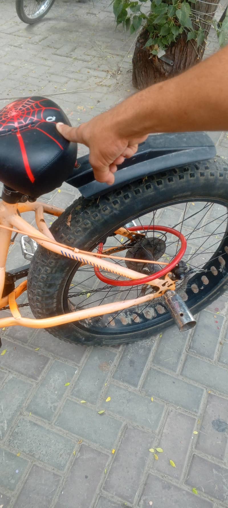 fat tyre cycle 1