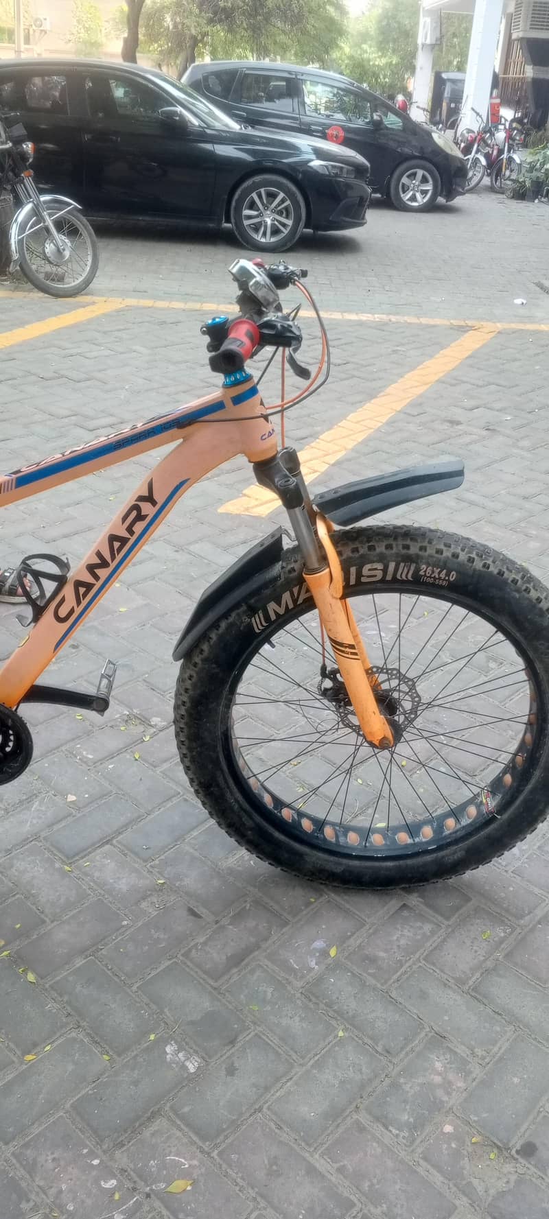 fat tyre cycle 2