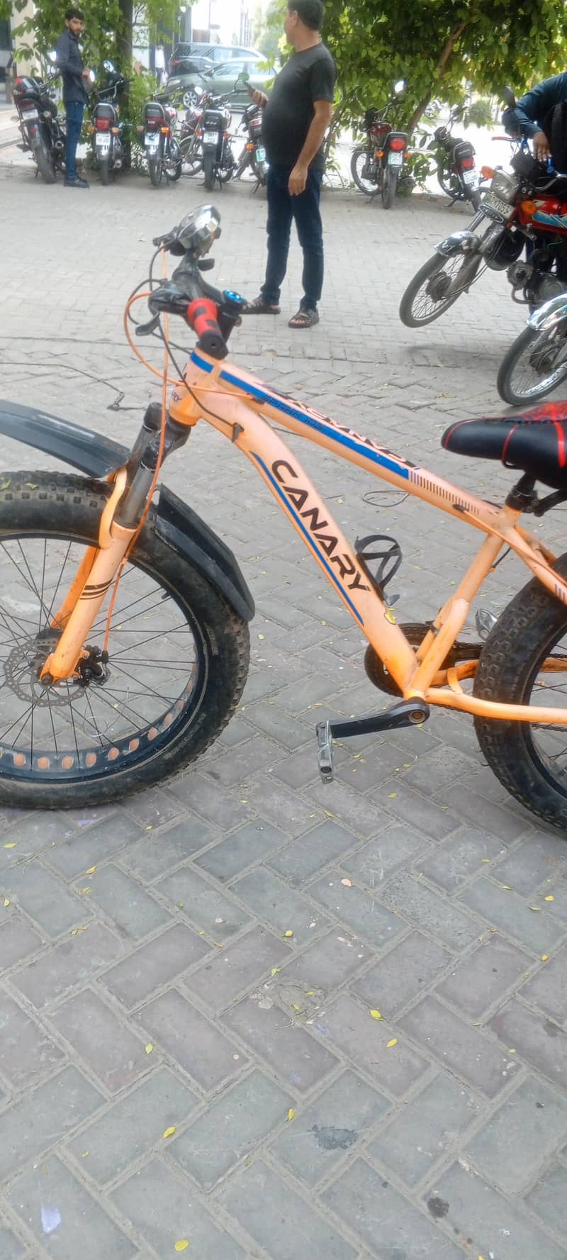 fat tyre cycle 4