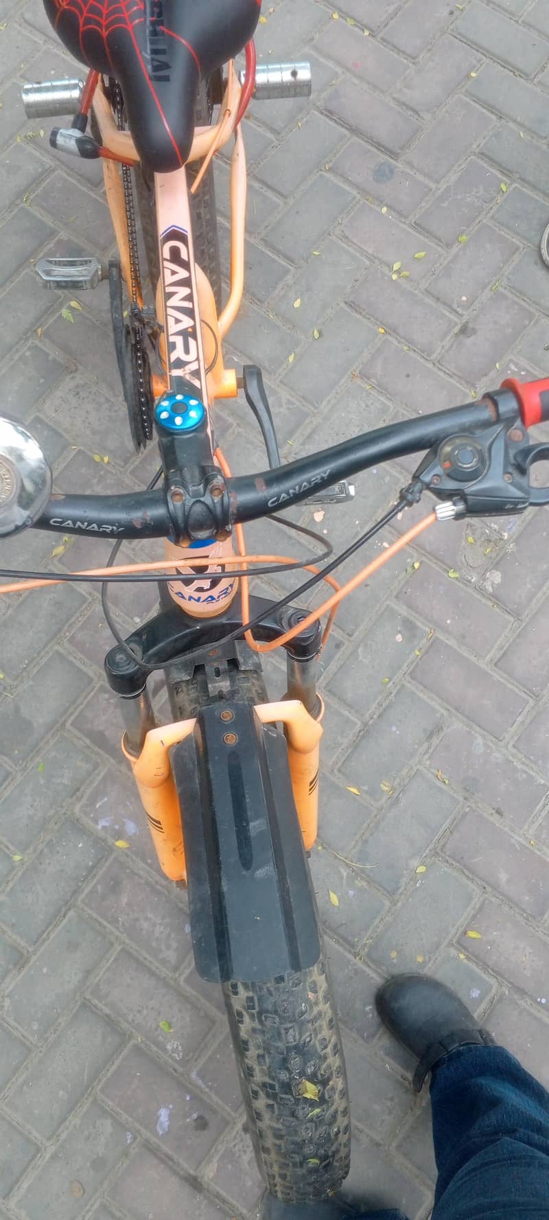 fat tyre cycle 6