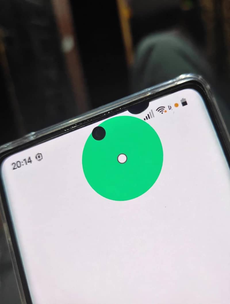 Google Pixel 6 Pro 0