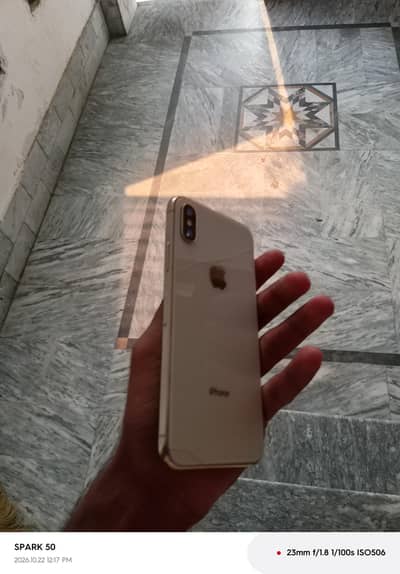 Apple iPhone X