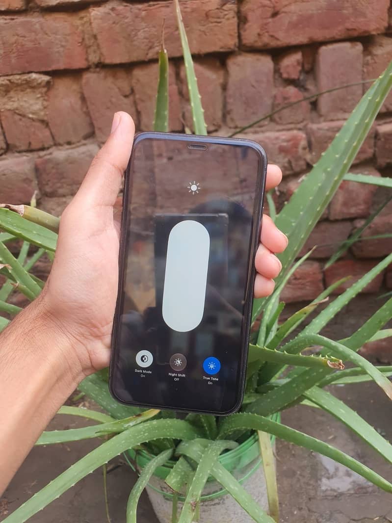 Apple iPhone 11 1