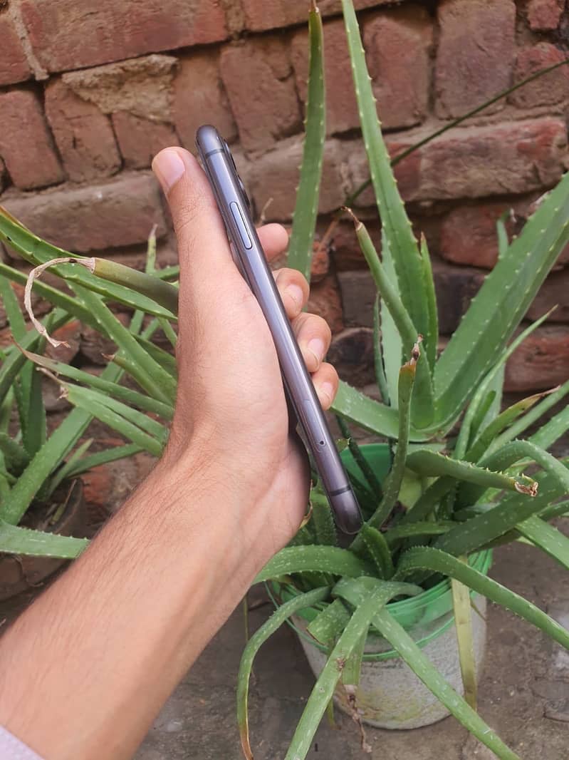 Apple iPhone 11 3