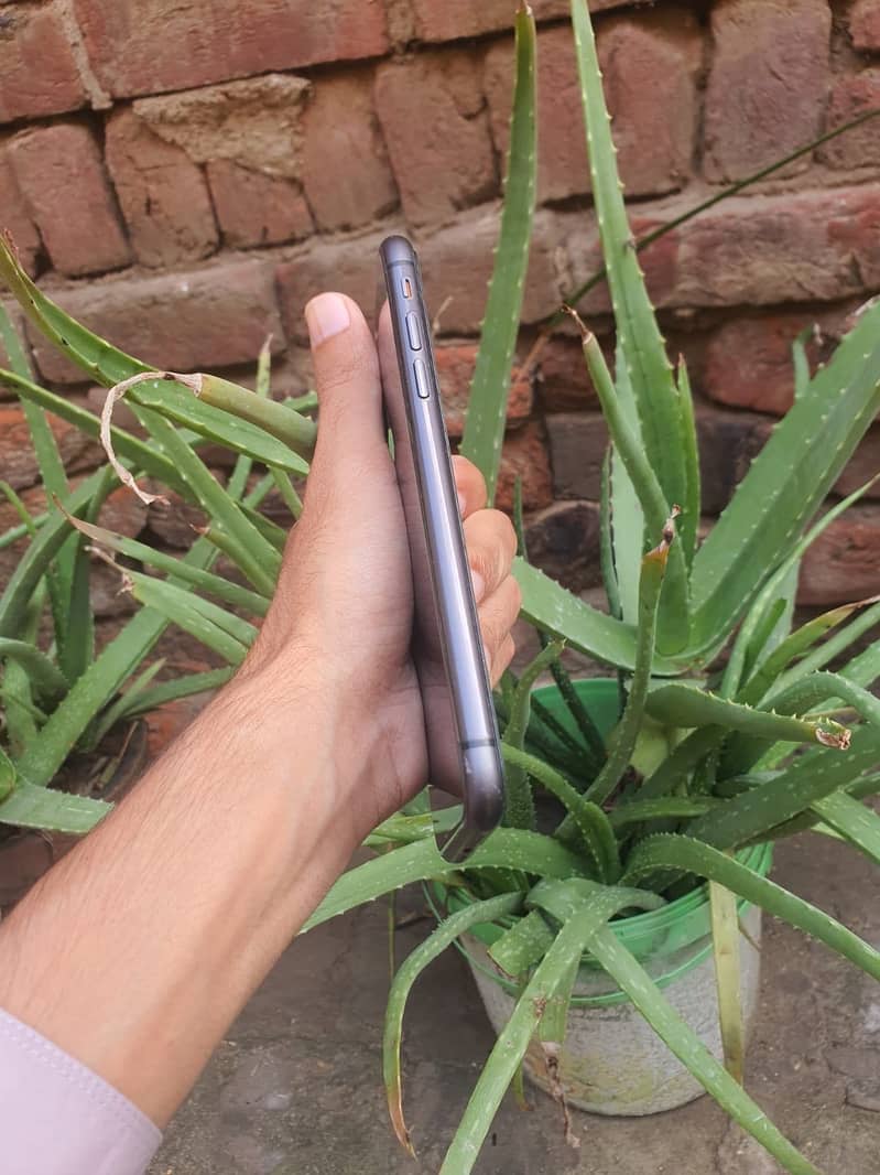 Apple iPhone 11 4