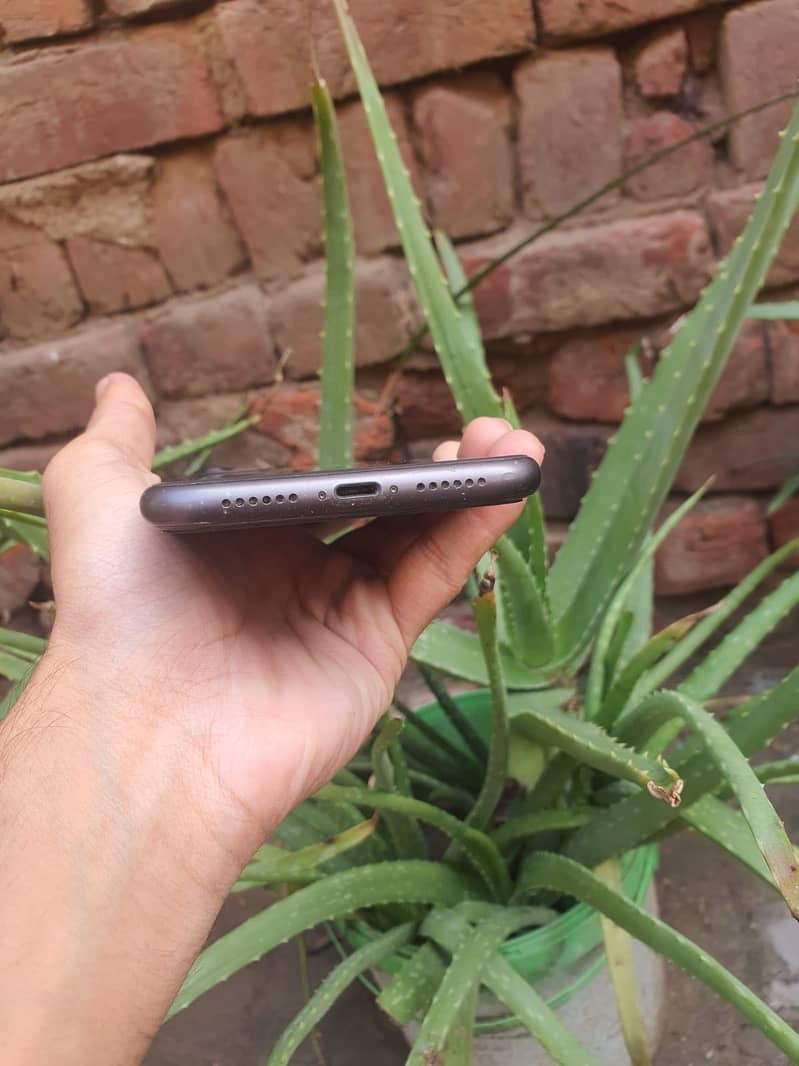 Apple iPhone 11 5