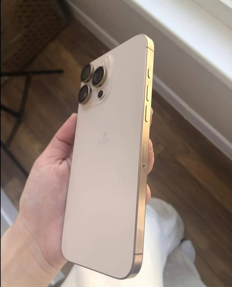 Apple iPhone 16 Pro Max 1