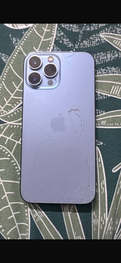Apple iPhone 13 Pro Max