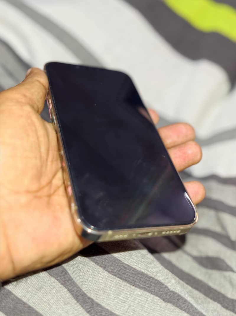 Apple iPhone 13 Pro 0