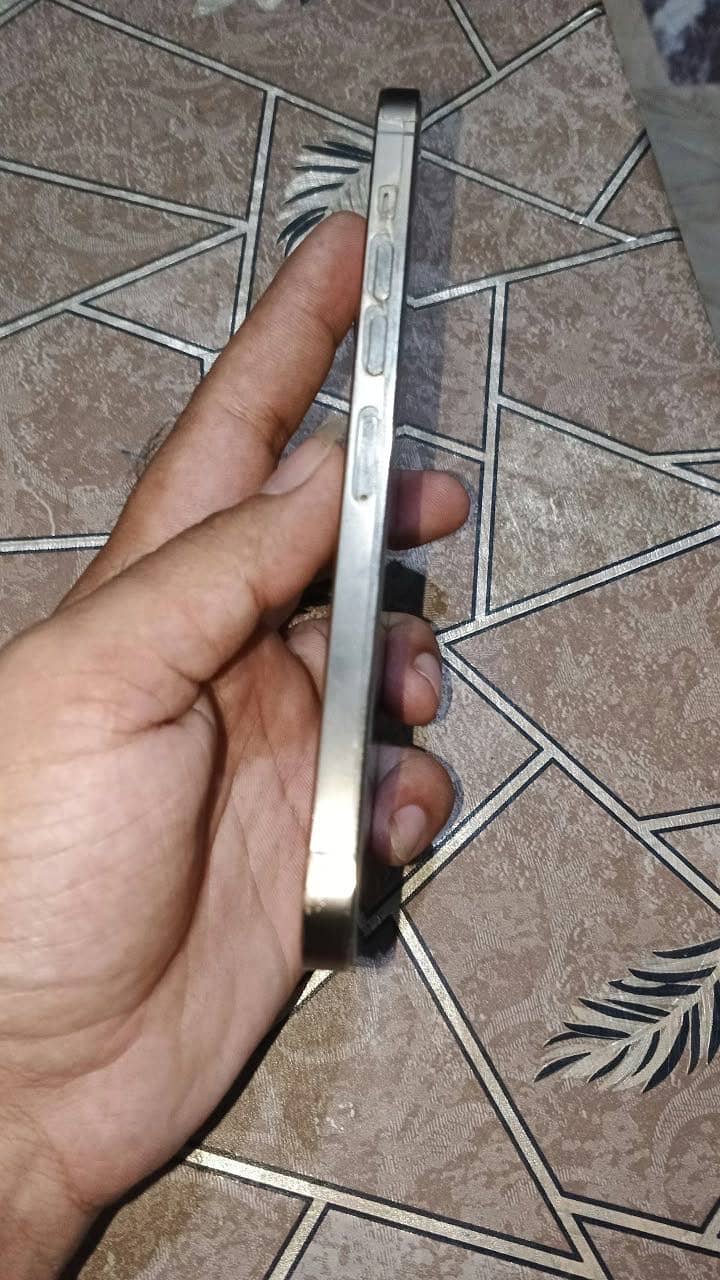 Apple iPhone 13 Pro Max 0