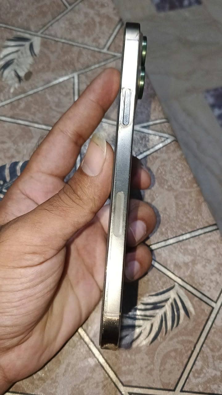 Apple iPhone 13 Pro Max 3