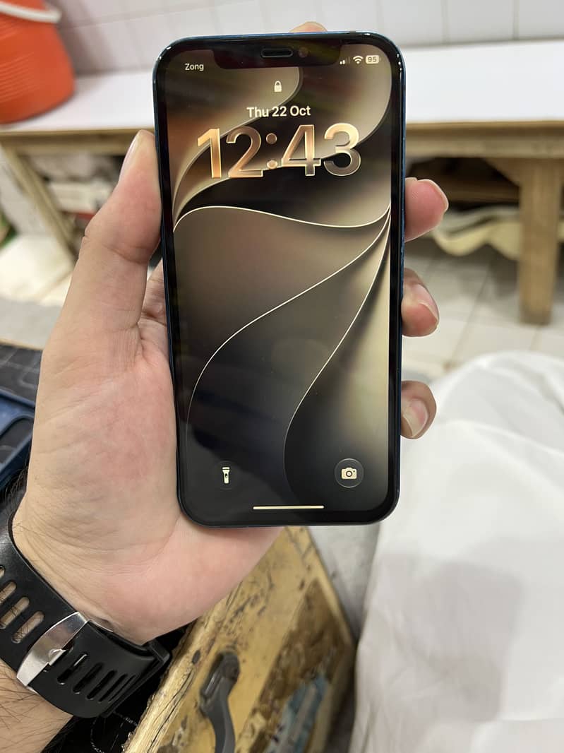 IPhone 12 (PTA APPROVED) 4