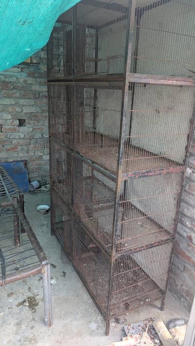 cage for sale
