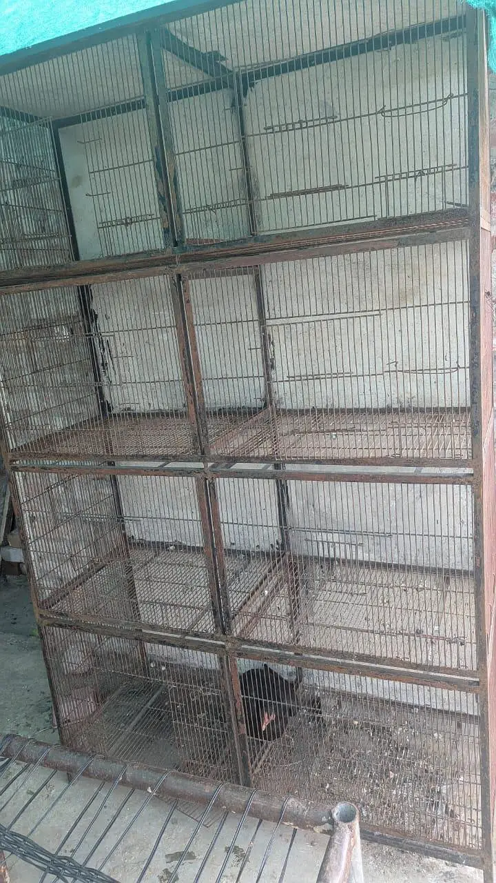 cage for sale — photo 2