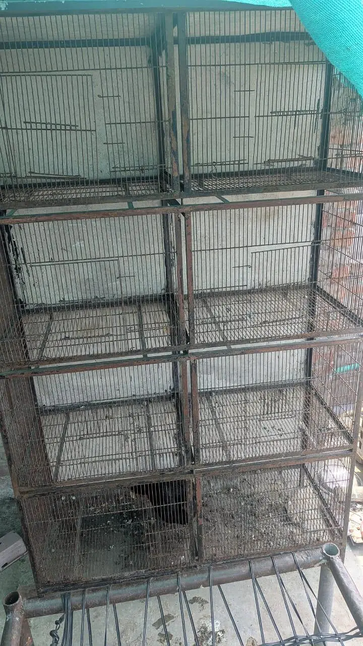 cage for sale — photo 3