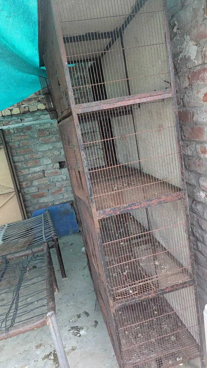 cage for sale — photo 4