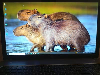 HP envy laptop touch screen 17 inches