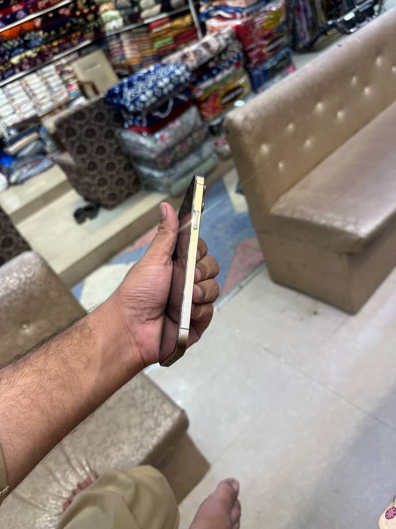 Apple iPhone 13 Pro Max 1