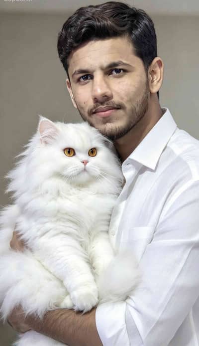 Uzair Mughal