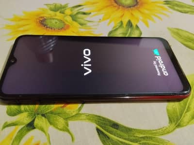 Vivo 1901
