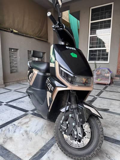 Evee Gen Z Grephon For sale