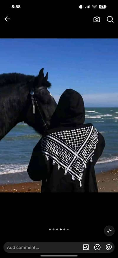 Hafiza Sana 