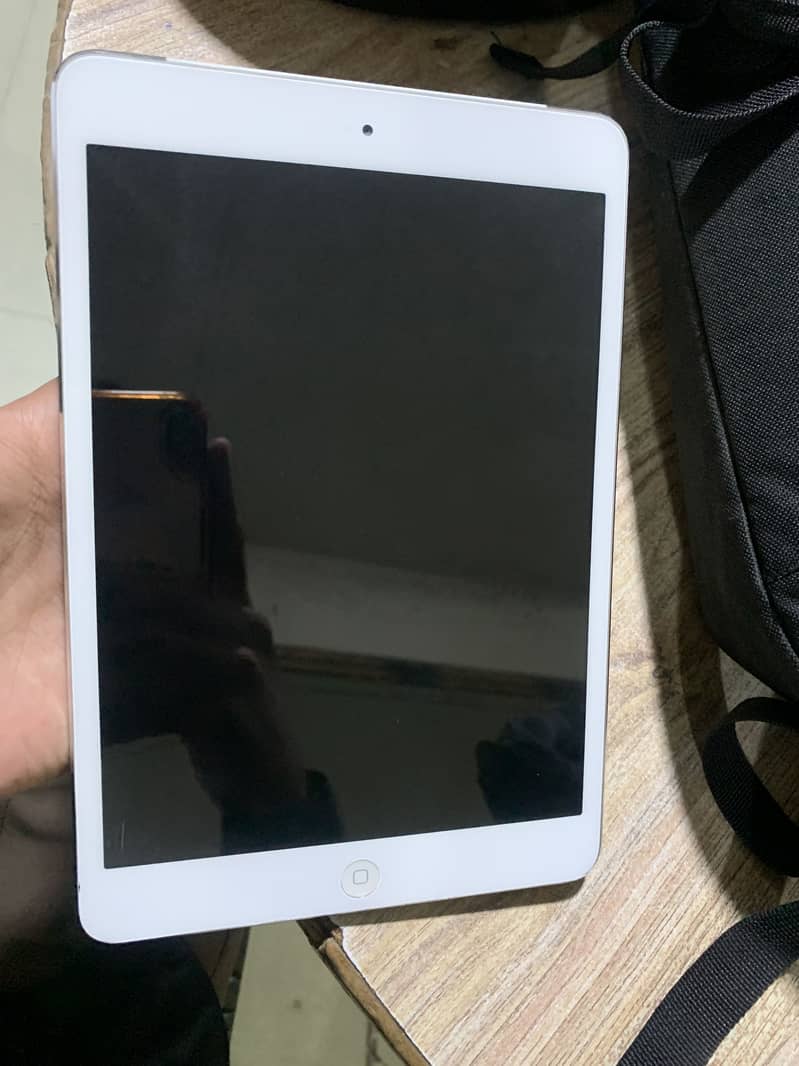 Ipad mini (12.6 GB) 1