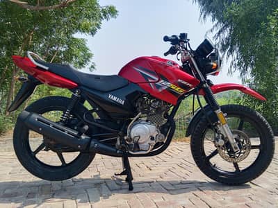 Yamaha ybr 19/20 model ( 03236350950) biomatic on the spot