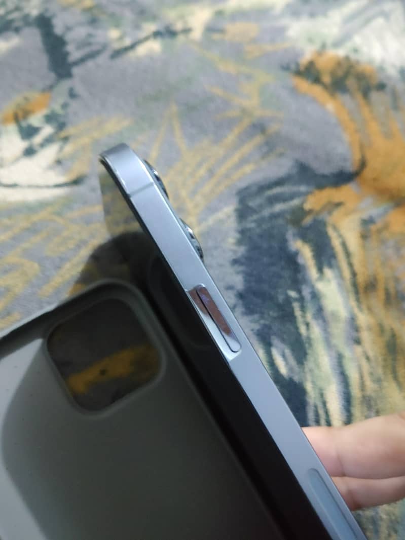 Apple iPhone 13 Pro Max 2
