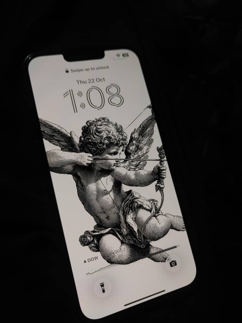 Apple iPhone 13 Pro Max 4